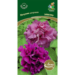      ( .   2024 ),   51.5 