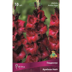 ����  ��������� ������� ���� (10 ��.), ������ �� 476 ���