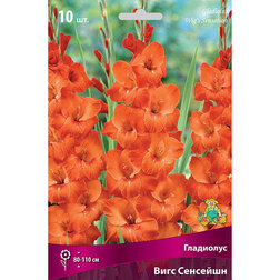 ����  ��������� ���� ��������, ������ �� 382 ���