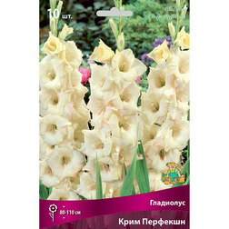 ����  ��������� ���� ��������, ������ �� 433 ���