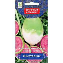 ����  ������ ��������� ������ ���� (��������� ���������), ������ �� 33 ���