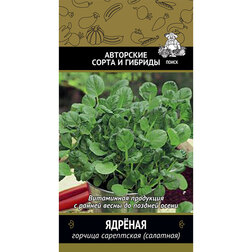 ����  ������� ���������� (��������) ������, ������ �� 29 ���