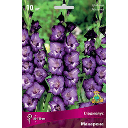 ����  ��������� ��������, ������ �� 399 ���