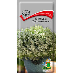 ����  ������� ����������� ����, ������ �� 37 ���