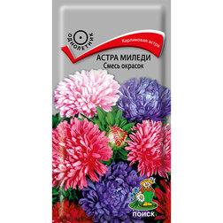 ����  ����� ������ ����� �������, ������ �� 26 ���