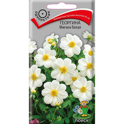 ����  �������� ������ �����, ������ �� 26 ���