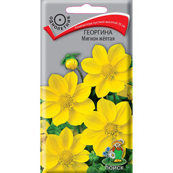 ����  �������� ������ �����, ������ �� 26 ���