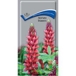 ����  ����� ��������, ������ �� 52 ���