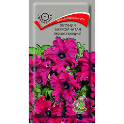 ����  ������� ����������� �������� ���������, ������ �� 80 ���