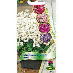 ����  ������� ���������� ����, ������ �� 47 ���