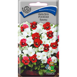 ����  ������ ������� �������, ������ �� 36 ���