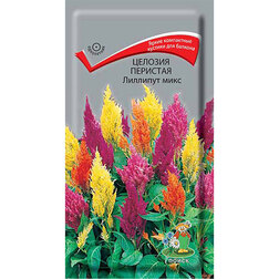 ����  ������� �������� �������� ����, ������ �� 26 ���