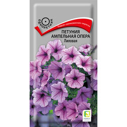 ����  ������� ��������� ����� �������, ������ �� 261 ���