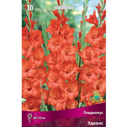 ����  ��������� ������, ������ �� 382 ���