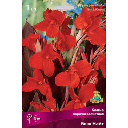 ����  ����� ���������������� ���� ����, ������ �� 348 ���