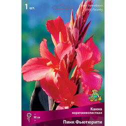 ����  ����� ���������������� ���� ���������, ������ �� 348 ���