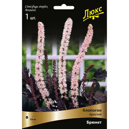 ����  �������� ������� ������, ������ �� 867 ���