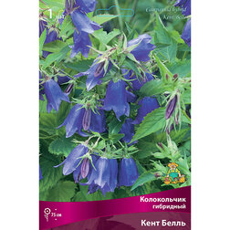 ����  ����������� ��������� ���� �����, ������ �� 433 ���