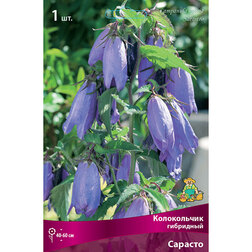 ����  ����������� ��������� �������, ������ �� 433 ���