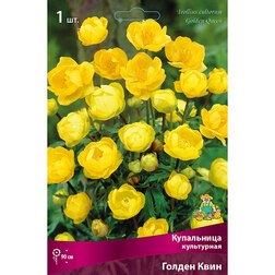 ����  ���������� ���������� ������ ����, ������ �� 360 ���