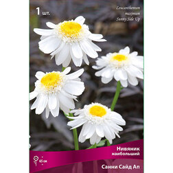 ����  ������� ���������� ����� ���� ��, ������ �� 467 ���