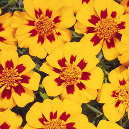 ����  �������� ����������� ����� �������(1 ��-1000 ��) ���������������� ������, ������ �� 2880 ���