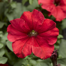 ����  ������� ����������� �������� ��� (1��-1000��) ���������������� ������, ������ �� 2080 ���