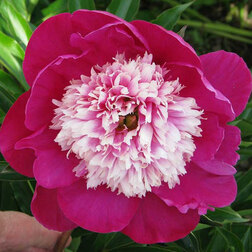 ����  ���� ����������� ���� ���, ������ �� 1640 ���