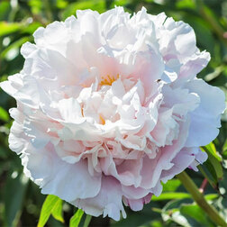 ����  ���� ����������� ��������, ������ �� 867 ���