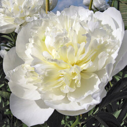 ����  ���� ����������� ����� �� �����, ������ �� 659 ���