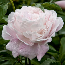 ����  ���� ����������� ����� ����, ������ �� 807 ���