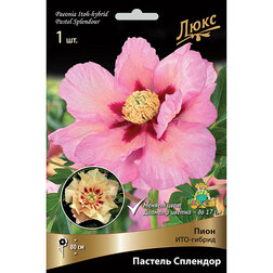    -   * (2-3 ),   2635 