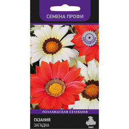 ����  ������� ������� (������ �����), ������ �� 141 ���