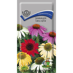 ����  �������� ����� ������, ������ �� 31 ���