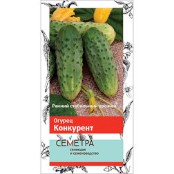 ����  ������ ��������� (�������), ������ �� 17 ���