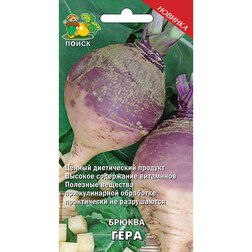 ����  ������ ����, ������ �� 29 ���