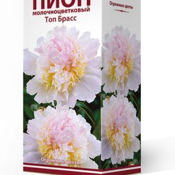 ����  ���� ����������� ��� �����, ������ �� 841 ���