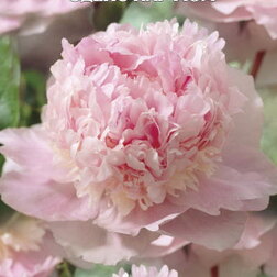 ����  ���� ����������� ����� ������, ������ �� 714 ���