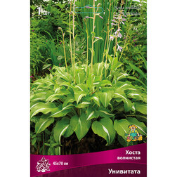 ����  ����� ��������� ���������, ������ �� 263 ���