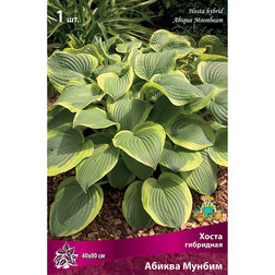 ����  ����� ��������� ������ ������, ������ �� 319 ���