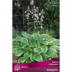 ����  ����� ��������� ��������, ������ �� 292 ���