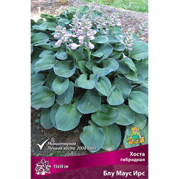 ����  ����� ��������� ��� ���� ���, ������ �� 292 ���