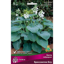 ����  ����� ��������� ���������� ���, ������ �� 292 ���