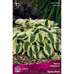 ����  ����� ��������� ���� ���, ������ �� 357 ���