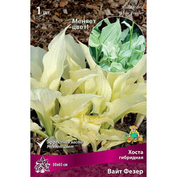 ����  ����� ��������� ���� �����, ������ �� 413 ���