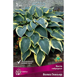 ����  ����� ��������� ����� �������, ������ �� 501 ���