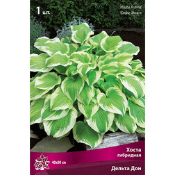 ����  ����� ��������� ������ ���, ������ �� 357 ���