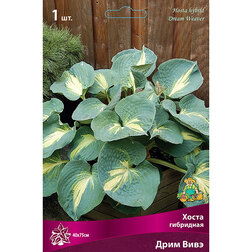 ����  ����� ��������� ���� ����, ������ �� 501 ���