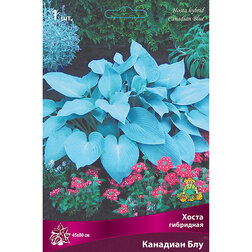 ����  ����� ��������� �������� ���, ������ �� 297 ���