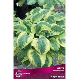 ����  ����� ��������� ��������, ������ �� 309 ���